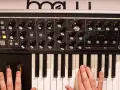 Dłonie grają na klawiaturze syntezatora Moog Subsequent 25, tworząc dźwięki.